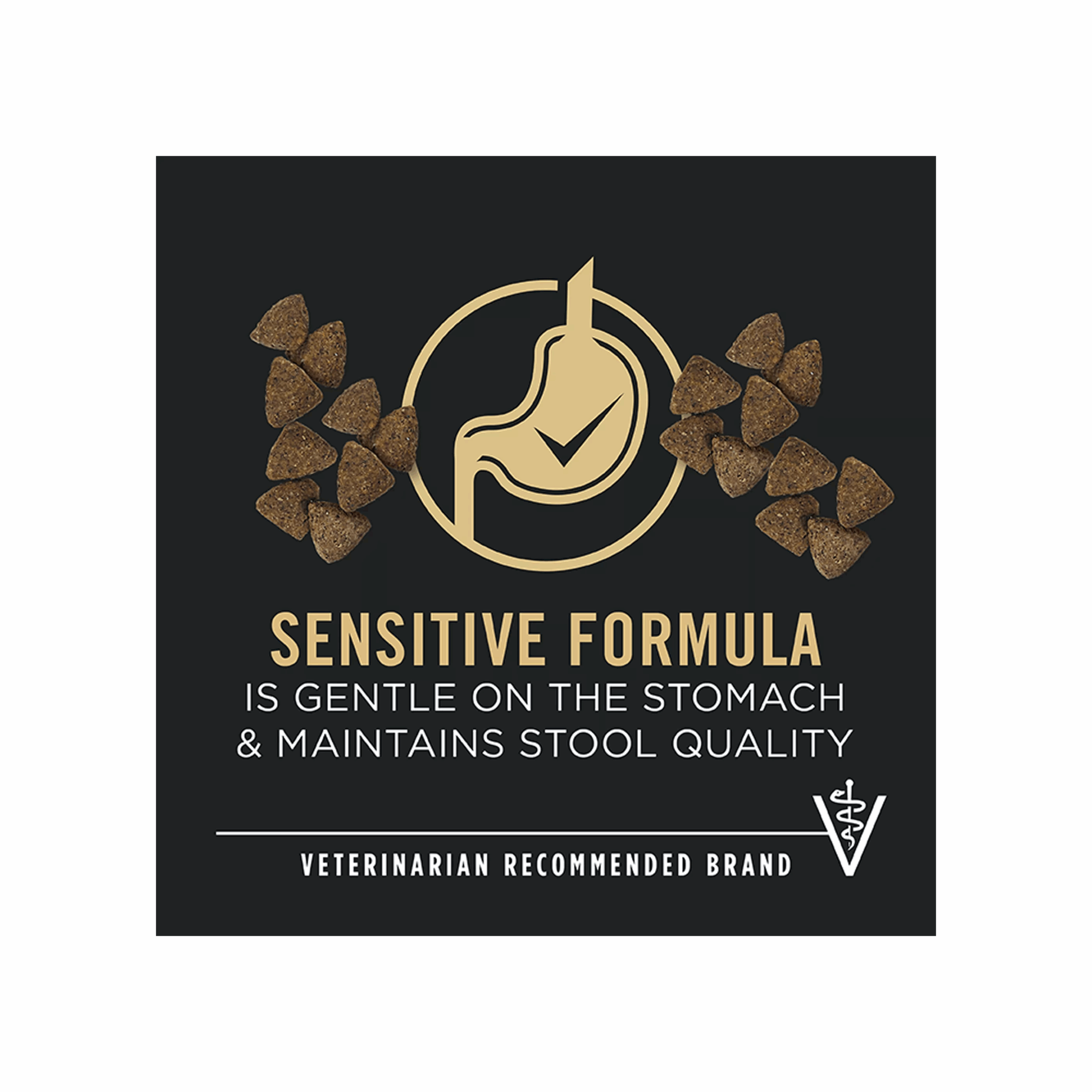 Purina® Pro Plan Sensitive Skin & Stomach Adult Dry Dog Food - Salmon & Rice, No Corn, Wheat or Soy - Image 2