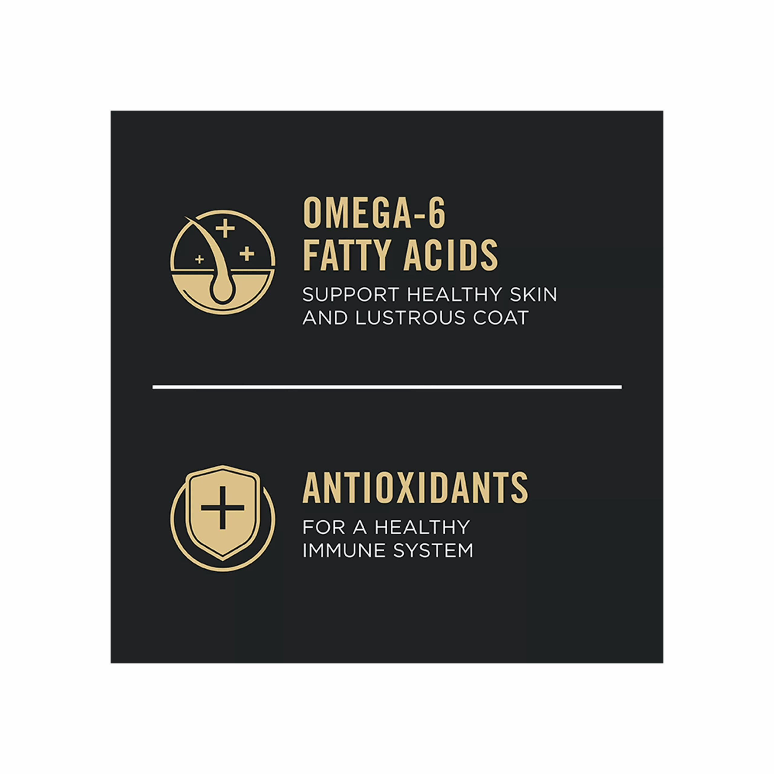 Purina® Pro Plan Sensitive Skin & Stomach Adult Dry Dog Food - Salmon & Rice, No Corn, Wheat or Soy - Image 4